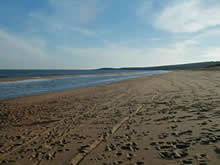 huellas en la arena en la playa el chiringo