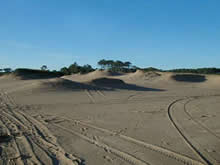 dunas en la playa el chiringo