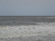 cantidad importante de surfistas esperando por olas