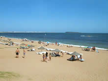 sombrillas de paja en la playa pinares