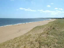 vista panoramica de la playa pinares