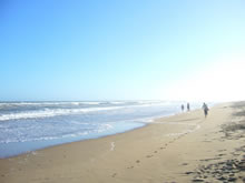 la playa brava por la mañana